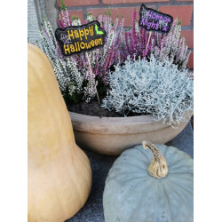 Stickdatei ITH - Happy Halloween Banner & Stecker